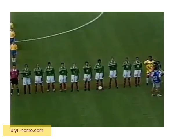 2026年加拿大世界杯球场设计与建设全景解析，创新与历史交汇之地